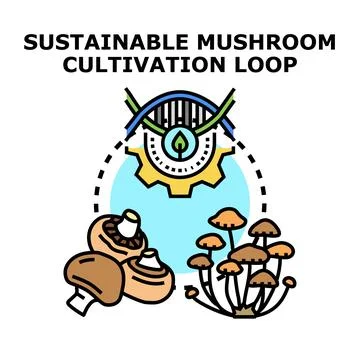 Sustainable mushroom cultivation loop process illustration Illustrazione stock