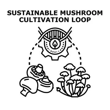 Sustainable mushroom cultivation loop process illustration 스톡 일러스트