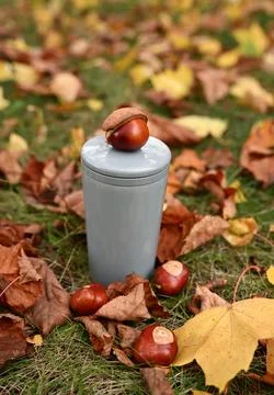 Sustainable Reusable Tableware Concept with a Cup and Acorns Promoting a Plastic Stock Photos