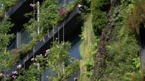 Sustainable vertical garden, architecture facade vegetation Stock Footage