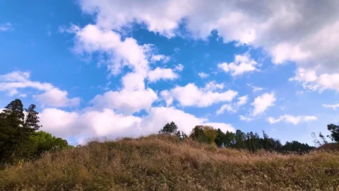 Susuki Grass Field and Flowing Clouds in Japan Autumn Landscape Stock Footage 336669897