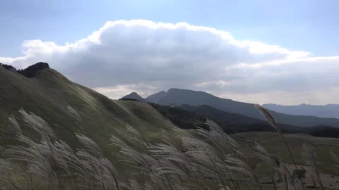 Susuki Grass of Soni Plateau 動画素材 332754848
