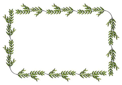 Сute hand drawn rectangular frame of branches and leaves from bushes and trees Stock Illustration