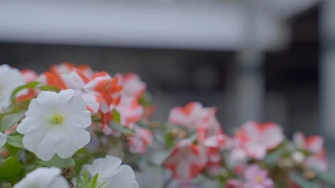 Sutton Train Station Stock Footage 116595269