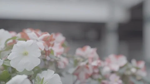 Sutton Train Station Stock Footage 116596214