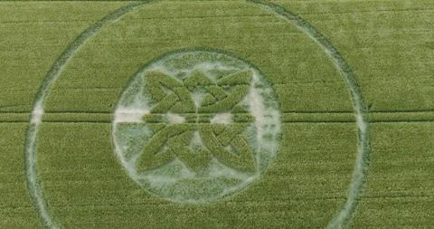Sutton Veny 2025 Celtic knot circular ring crop circle aerial Birdseye view Stock Footage 310362657