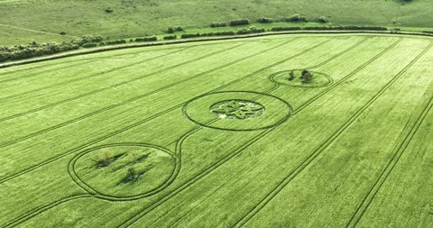 Sutton Veny crop circle aerial view over high value malting barley field in Stock Footage 310362634