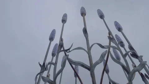 Sutton Wallington Lavender Sculpture Stock Footage 116555395