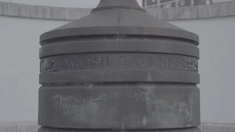 Sutton Wallington Lavender Sculpture Stock Footage 116555603
