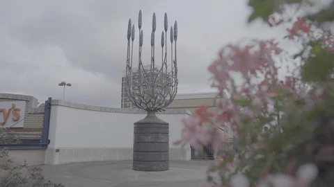 Sutton Wallington Lavender Sculpture Stock Footage 116556151