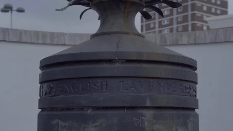Sutton Wallington Lavender Sculpture Stock Footage 116556275