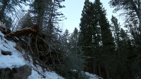 SUV Drive By On a Winter Mountain Road Stock Footage 101368540