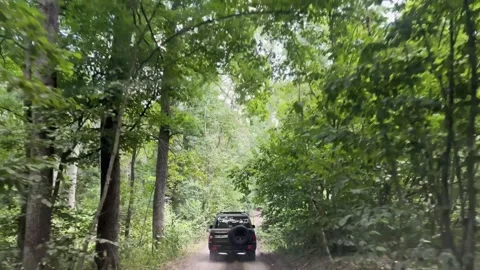 The SUV drives quickly on a forest dirt road. Stock Footage 320818586