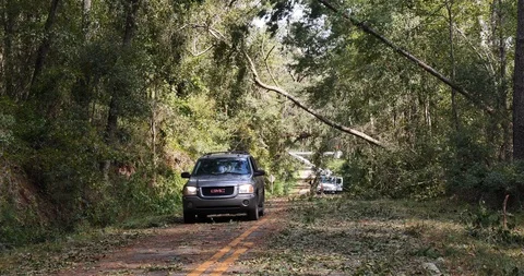 SUV drives under hanging,  fallen trees, debris, bucket truck in background Stock Footage 99049919