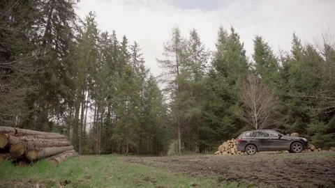 SUV Driving Past Stacked Logs into Summer Coniferous Forest 스톡 동영상 313658659