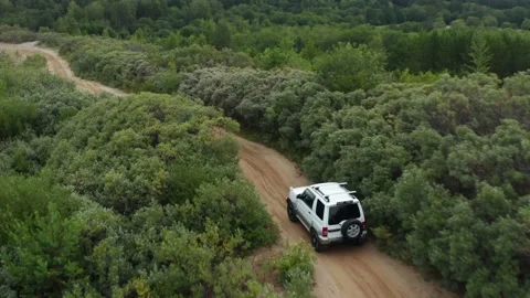 The SUV is driving on the road Stock Footage 171313664