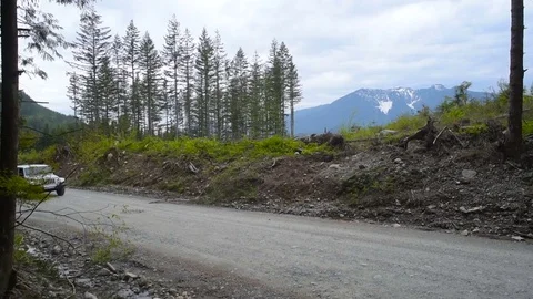 SUV driving through forest in mountains Stock Footage 82444055