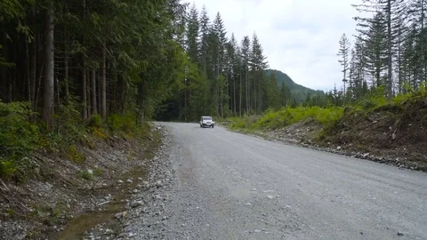 SUV driving through forest in mountains Видео 82444186