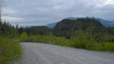 SUV driving through forest in mountains Vidéo 82444239
