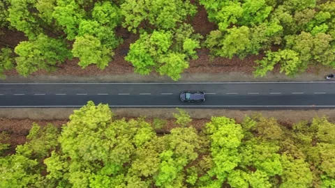Suv driving through thick forest drone shot 4k Stock-Footage 151904609