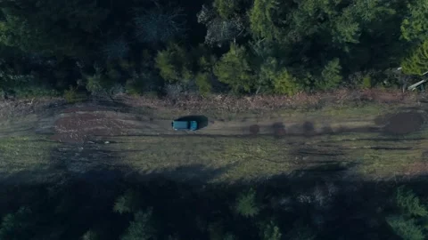 SUV driving through the woods from a drone view Stock Footage 194786692