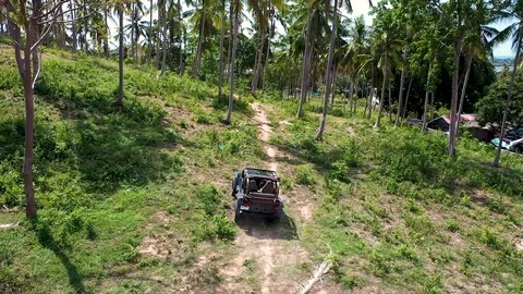 SUV in the jungle Stock Footage 112786664