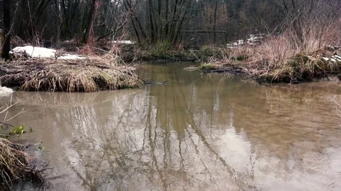 SUV in the mud. Slow motion Stock Footage