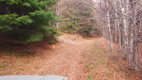 SUV or offroad car on path covered with leaves crossing puddle with water spl Vidéo 325626828