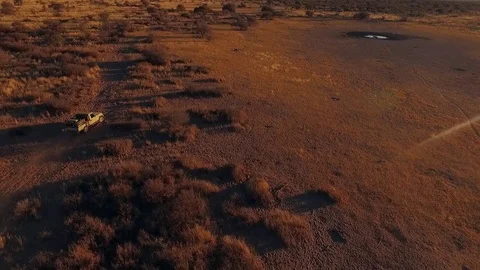 SUV rides in the desert of Namibia. Stock Footage 77507103
