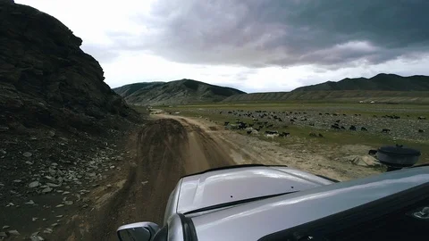 SUV rides over a mountain river on a high mountain road. Wild animals run across Vídeos de archivo 110329962