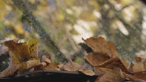 SUV windshield in the rain Stock Footage 320834828