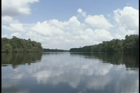 Suwanee River Ride Stock Footage 140574