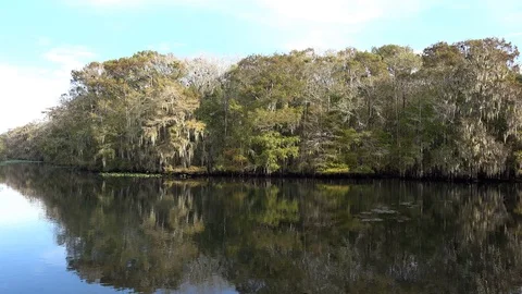 Suwannee river in Florida. 4K Stock Footage 98158250