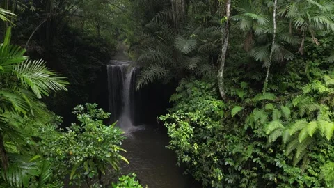 Suwat Waterfall Stock Footage 247307679