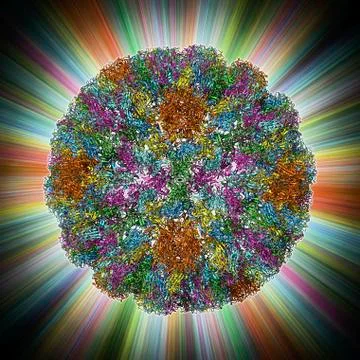 SV40 virus capsid, molecular model Stock Illustration