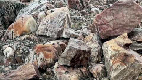 Svalbard's Arctic Ruggedness a Symphony of Stone and Serene Waters Stock Footage 340484855
