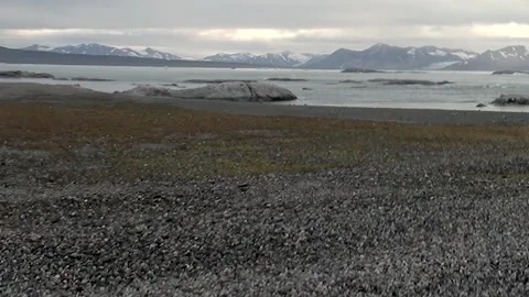 Svalbard's Glacial Waters Touch Rugged Norwegian Shores Stock Footage 338201177
