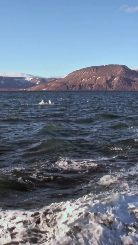 Svalbard's Icy Splendor on Sunlit Arctic Waves Stock Footage 340483671