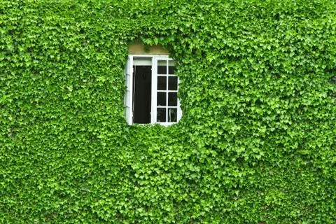 Svenborg Stock Photos