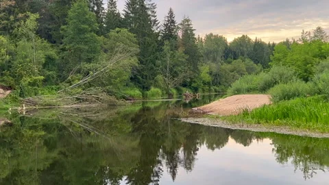 Sventoje river in lithuania Stock Footage 246229336