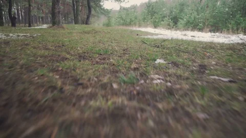 Svetlana009 Stock Footage 130129264