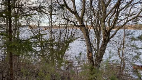 Svisloch river in Belarus in January. Static shot Stock Footage 122270634
