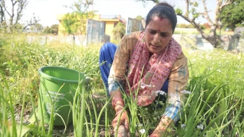 Swac hh Bharat Mission is a  programme for Sanitation pure Drinking Water and Vidéo 175664625