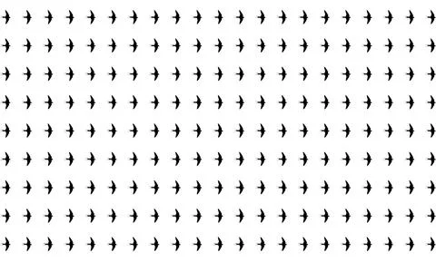 Swallow Bird Motifs Pattern Stock Illustration