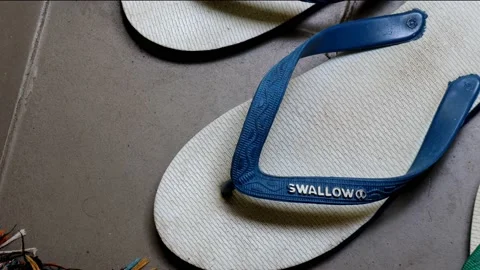 Swallow brand flip flops in white and blue colors are on the floor Vidéo 237486355