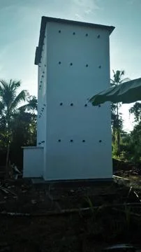 Swallow building 写真素材