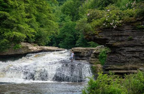 Swallow Falls Stock-Fotos