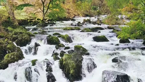 Swallow Falls Waterfall slow motion Stockbeeldmateriaal 230931740