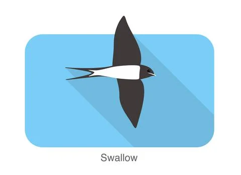 Swallow flat icon design, cartoon, vector illustration Stock Illustration