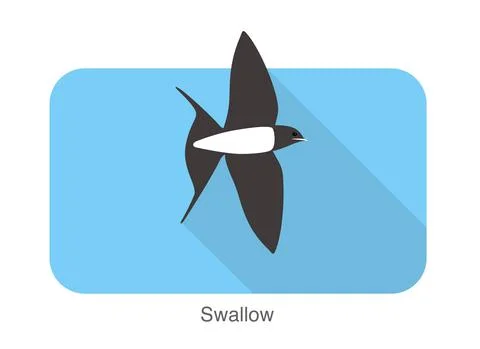 Swallow flat icon design, cartoon, vector illustration Stock-Illustration